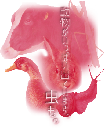 動物がいっぱい出ています。虫も。